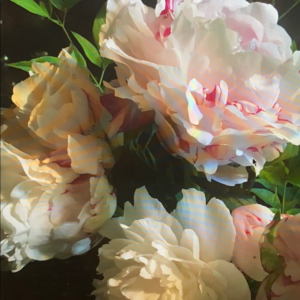 Meet your Posher, Helen